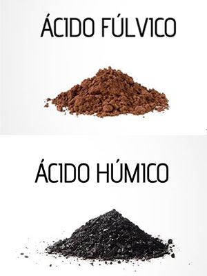 Ácidos Húmicos y Fúlvicos
